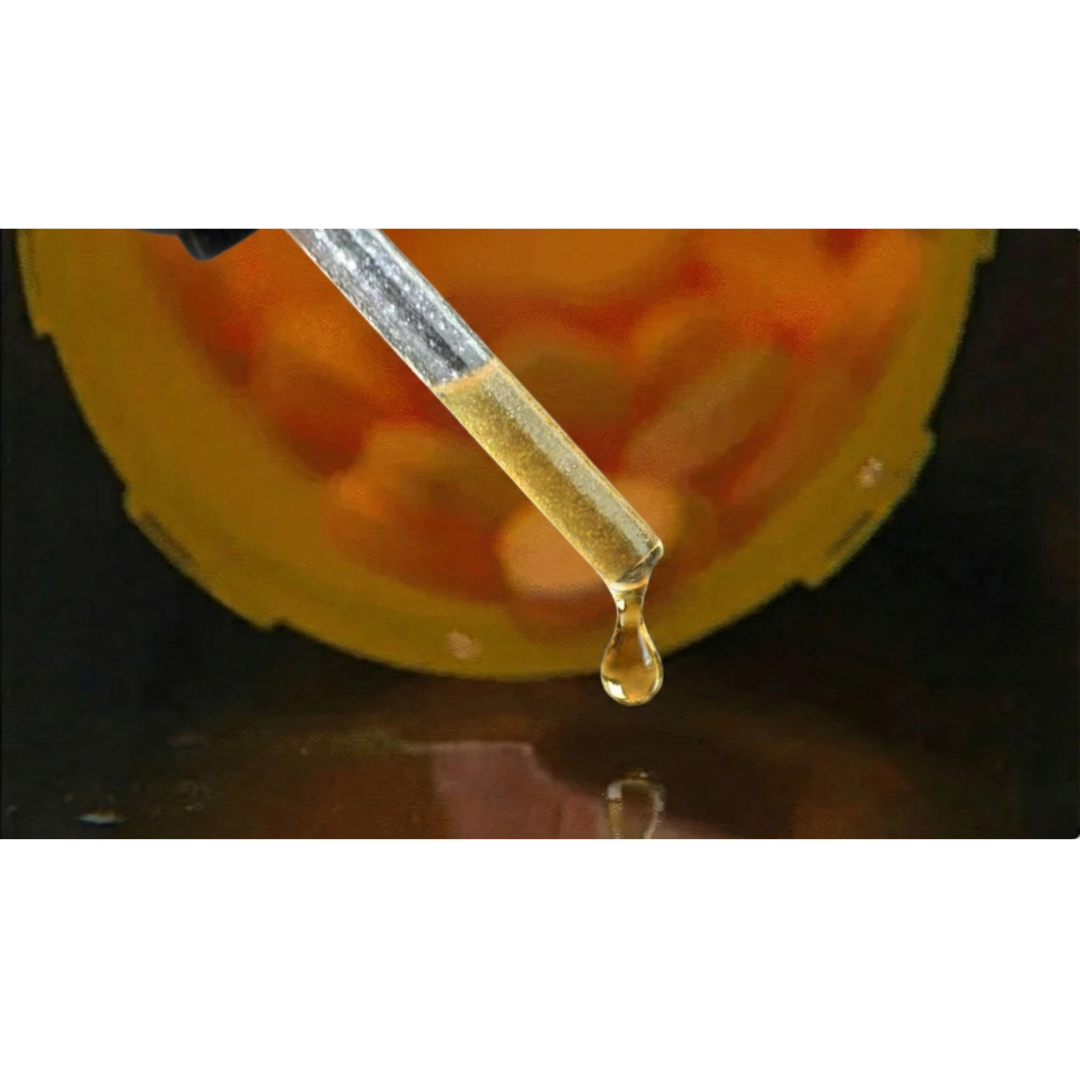 Focus+ - imagem ilustrativa do produto